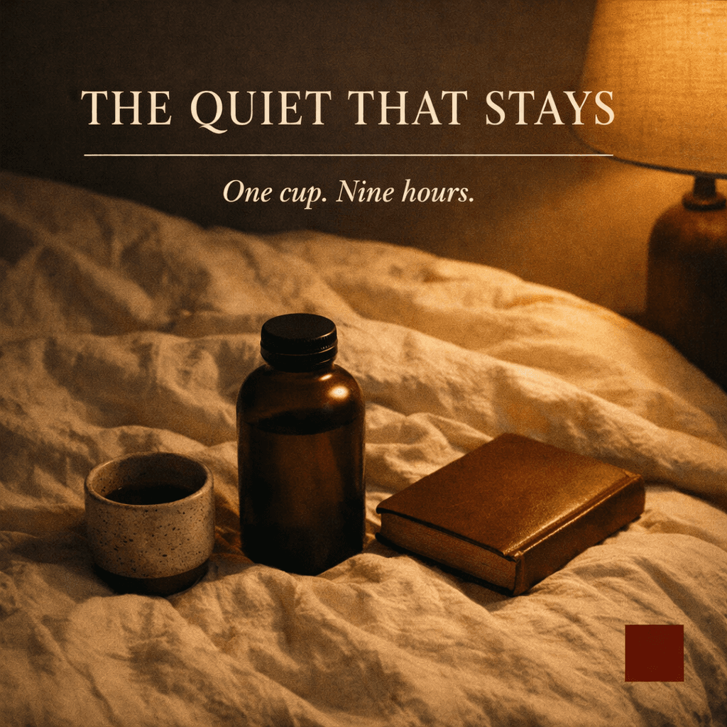 Meta feed ad specimen: a warm bedside scene with a magnesium drink bottle, headline 'THE QUIET THAT STAYS.'